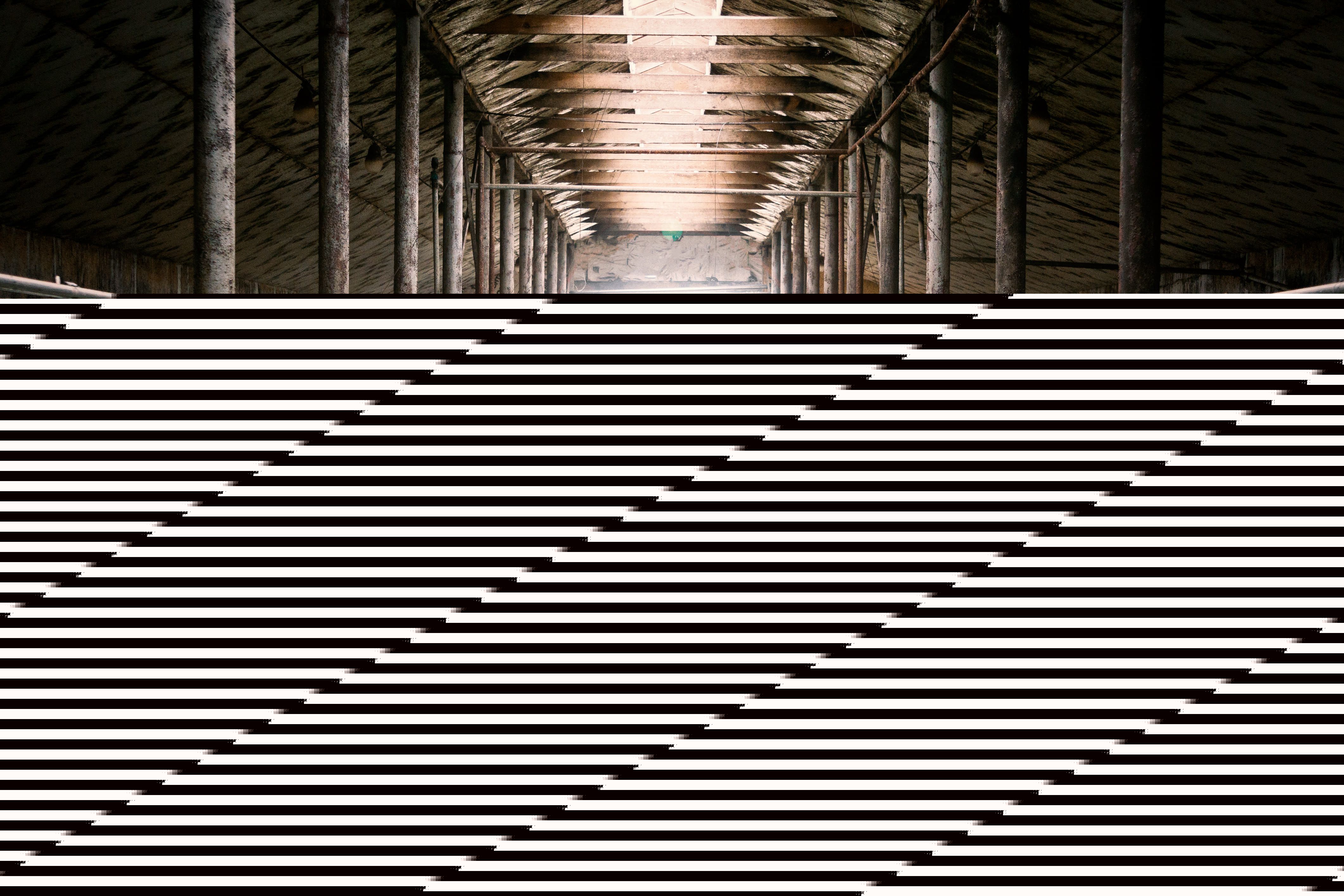 Odoo image and text block