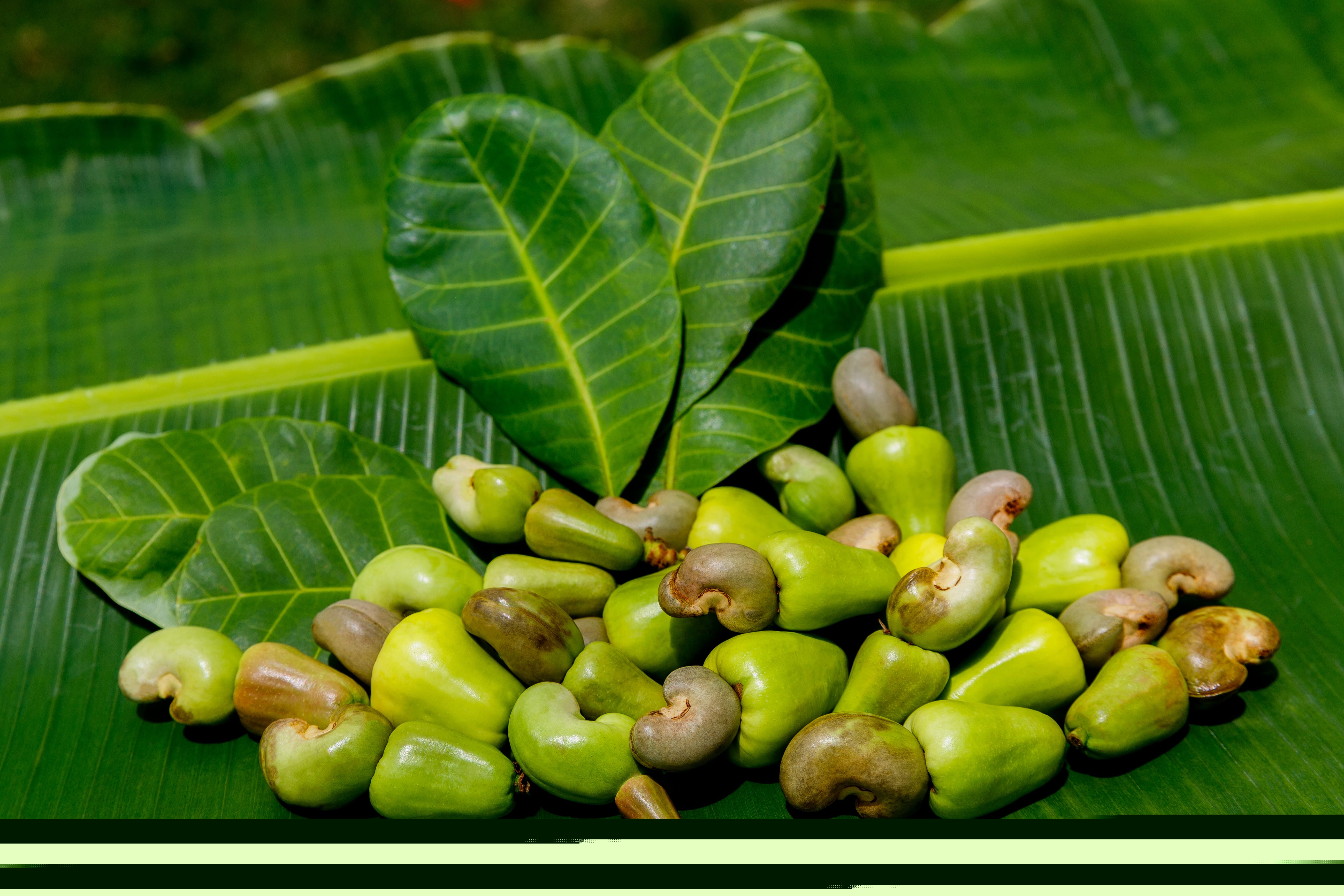 Odoo - Sample 2 for three columns