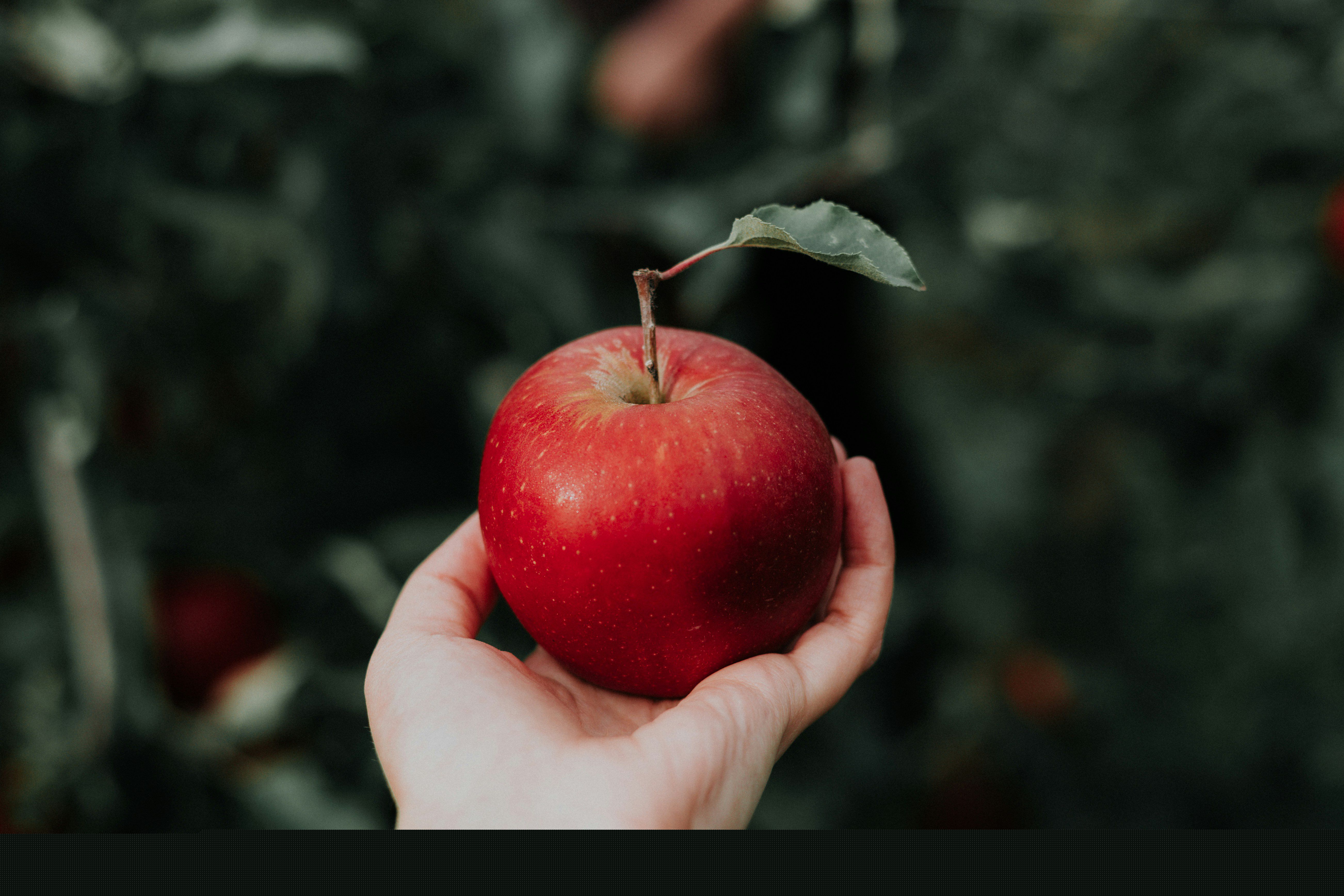 Odoo - Sample 2 for three columns