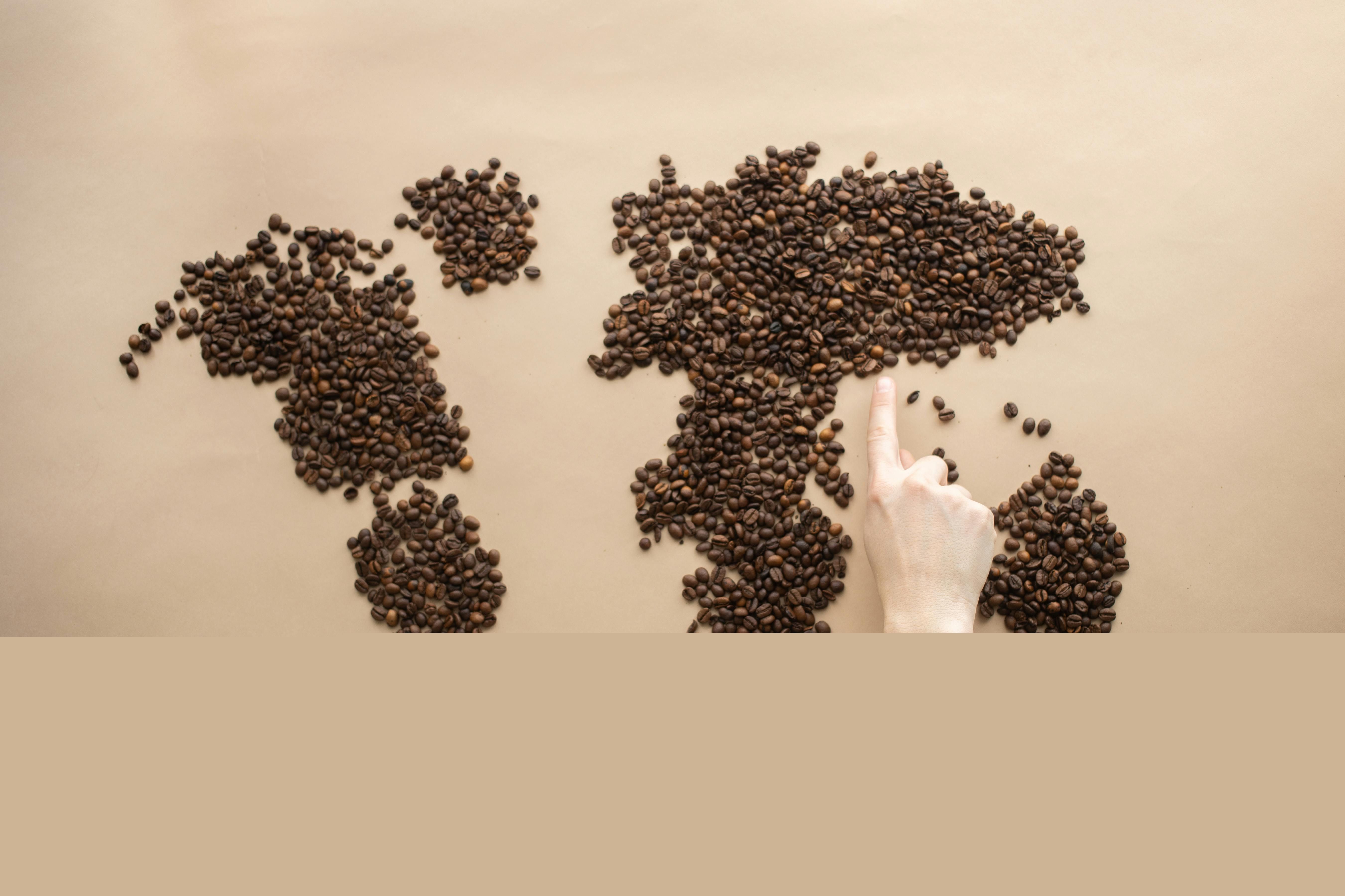 Odoo - Sample 3 for three columns