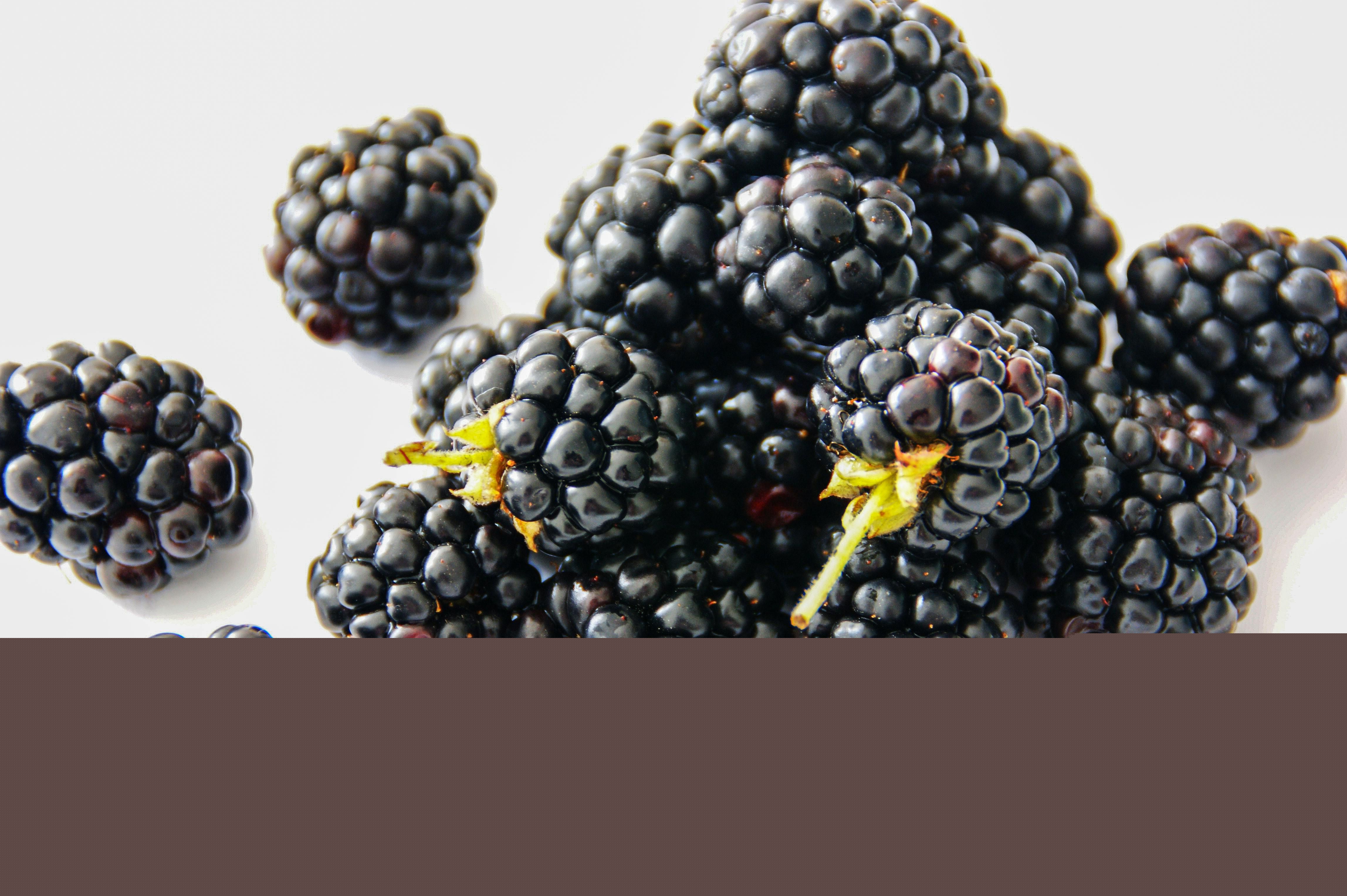 Odoo - Sample 3 for three columns