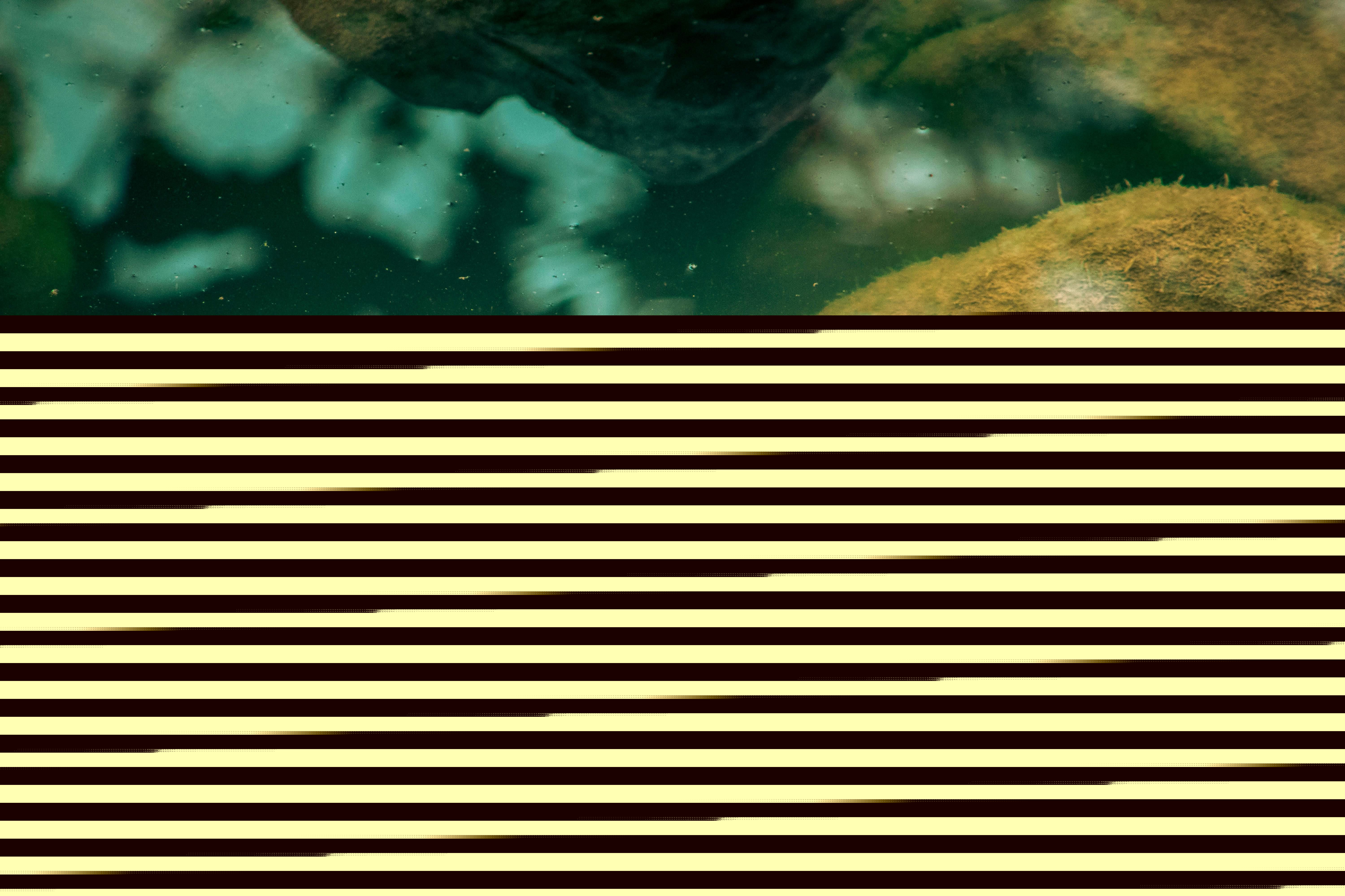 Odoo - Sample 2 for three columns